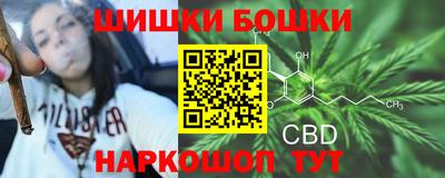 прущие грибы Канаш
