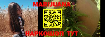 прущие грибы Канаш