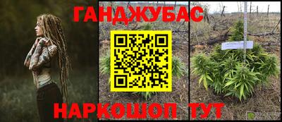 прущие грибы Канаш