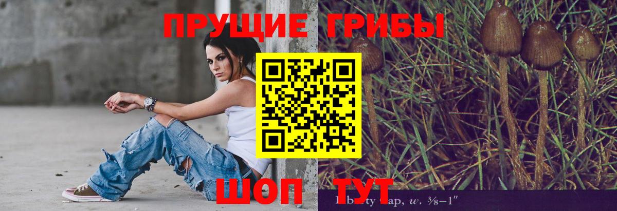 магазин продажи наркотиков  Вход с VPN  Верхняя Пышма  Псилоцибиновые грибы ЛСД 